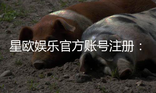 星欧娱乐官方账号注册：轻松完成三步快速开户指南