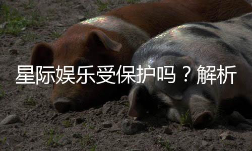 星际娱乐受保护吗？解析其安全性与玩家权益保障