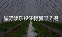 星际娱乐投注稳赢吗？揭秘高胜率玩家的实战策略与风险控制