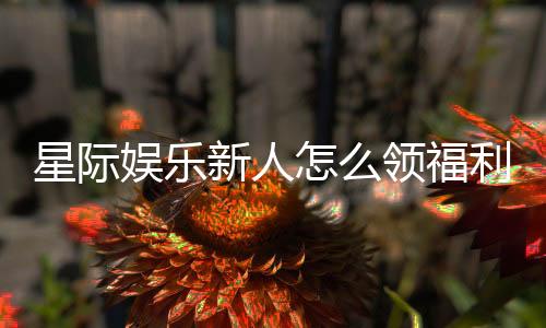 星际娱乐新人怎么领福利？手把手教你轻松获取首存礼包