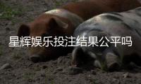 星辉娱乐投注结果公平吗？深度解析平台公正性与玩家实测反馈