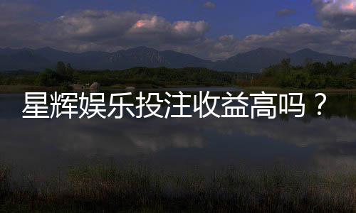 星辉娱乐投注收益高吗？深度解析平台优势与盈利策略