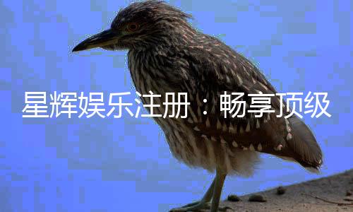 星辉娱乐注册：畅享顶级棋牌电游的尊贵体验