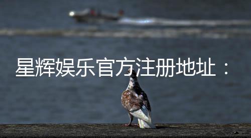 星辉娱乐官方注册地址：快速获取官网入口与安全注册指南