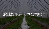 欧陆娱乐有实体公司吗？深度解析其线下运营与资质背景