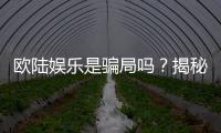 欧陆娱乐是骗局吗？揭秘其真实性与玩家体验