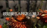 欧陆娱乐APP怎么样？资深玩家亲测体验与下载指南