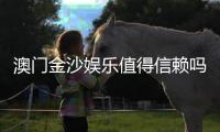 澳门金沙娱乐值得信赖吗？深度解析其信誉与玩家真实体验