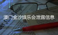 澳门金沙娱乐会泄露信息吗？深度解析其安全性及隐私保护措施