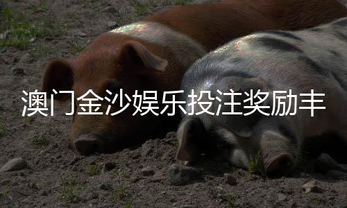 澳门金沙娱乐投注奖励丰厚吗？揭秘高额返水与独家彩金福利