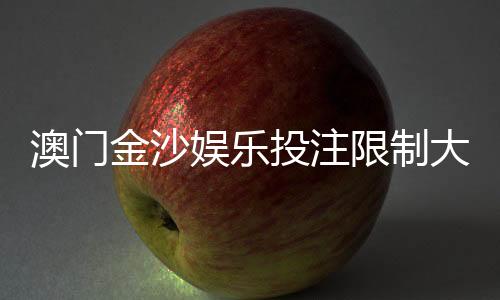 澳门金沙娱乐投注限制大吗？资深玩家解析实际游戏体验与规则