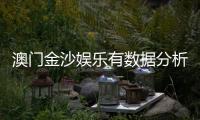 澳门金沙娱乐有数据分析吗？揭秘其数据统计与玩家胜率解析