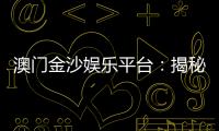 澳门金沙娱乐平台：揭秘高端玩家的制胜策略与独家优惠