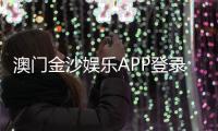 澳门金沙娱乐APP登录：畅享顶级娱乐体验与安全登录指南