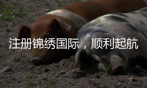 注册锦绣国际，顺利起航的秘诀