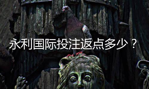 永利国际投注返点多少？探寻实惠机会