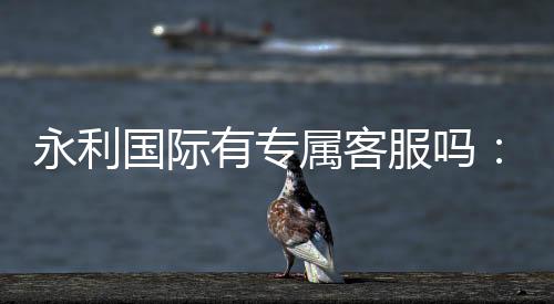 永利国际有专属客服吗:寻找最佳服务体验!