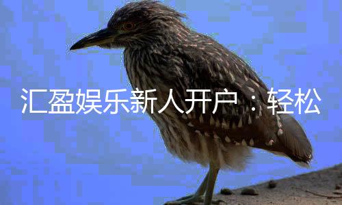 汇盈娱乐新人开户：轻松注册即享豪华礼包与高额返水