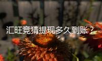 汇旺竞猜提现多久到账？到账时间及流程详解