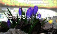 沙巴体育怎么下载？安卓iOS最新版下载安装步骤与常见问题解答