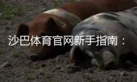 沙巴体育官网新手指南：注册登录、充值提现、安全与常见玩法全攻略
