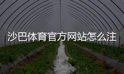 沙巴体育官方网站怎么注册与登录?最新入口、账号安全与新手指南