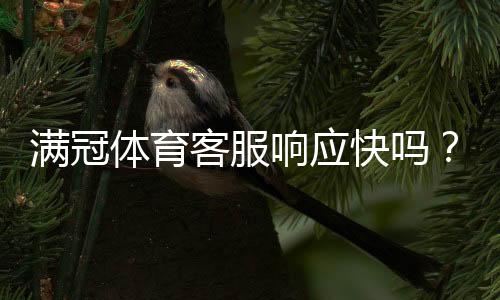 满冠体育客服响应快吗？真实响应时长与服务质量全面解析