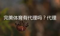 完美体育有代理吗？代理资格、申请流程与真伪识别全攻略