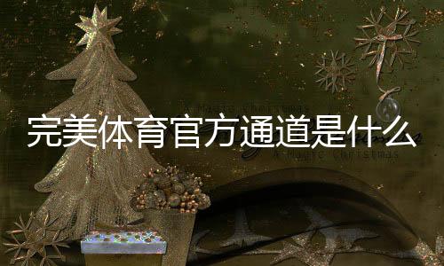 完美体育官方通道是什么？最新入口、登录与安全验证全解析