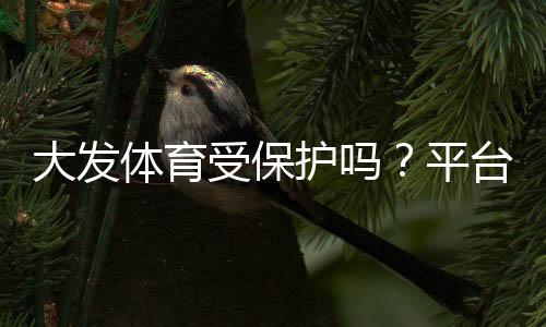 大发体育受保护吗?平台安全、数据隐私与资金保障全面解析