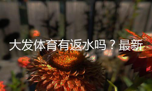 大发体育有返水吗？最新返水规则、领取条件与注意事项