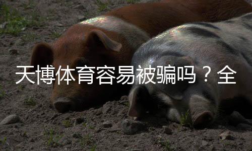 天博体育容易被骗吗?全面辨别平台真伪与实用防骗指南