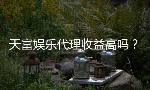 天富娱乐代理收益高吗？揭秘高收益背后的真实情况