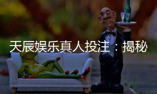 天辰娱乐真人投注：揭秘高胜率玩家的实战技巧与心得