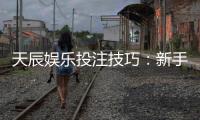 天辰娱乐投注技巧：新手玩家如何提升胜率与收益