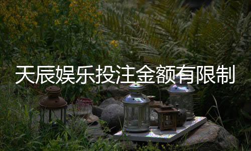 天辰娱乐投注金额有限制吗？最新规则解析与注意事项