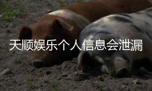 天顺娱乐个人信息会泄漏吗?资深玩家解析平台安全性