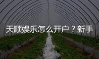 天顺娱乐怎么开户？新手快速注册指南