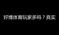 好博体育玩家多吗？真实活跃度与用户规模深度解析