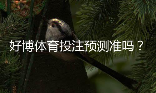 好博体育投注预测准吗？专业评测、真实数据与用户口碑全解析