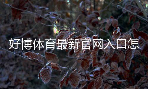 好博体育最新官网入口怎么进？官方最新地址、快速登录与安全访问指南
