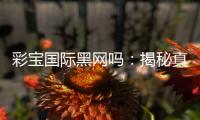 彩宝国际黑网吗：揭秘真相