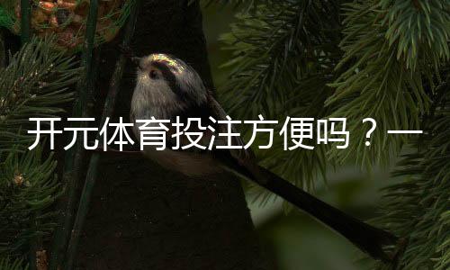 开元体育投注方便吗？一文详解其操作流程与优势体验