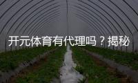 开元体育有代理吗？揭秘代理加盟条件与流程