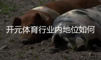 开元体育行业内地位如何？深度解析其市场影响力与竞争优势