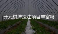 开元棋牌投注项目丰富吗？带你探索多元化的游戏选择