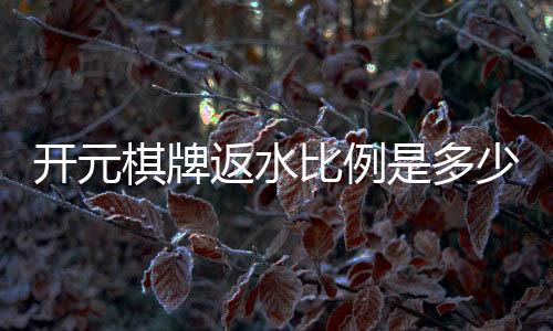 开元棋牌返水比例是多少?揭秘高返水活动与实战技巧