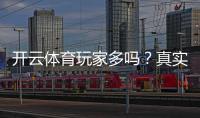 开云体育玩家多吗？真实用户规模与活跃度深度分析