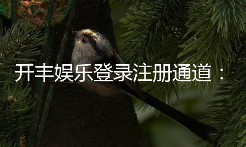 开丰娱乐登录注册通道：快速注册指南与新手礼包领取攻略