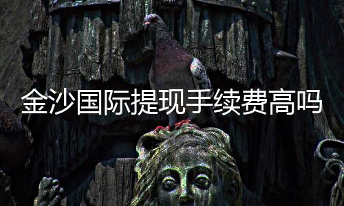 金沙国际提现手续费高吗？资深玩家解析费用详情与应对技巧